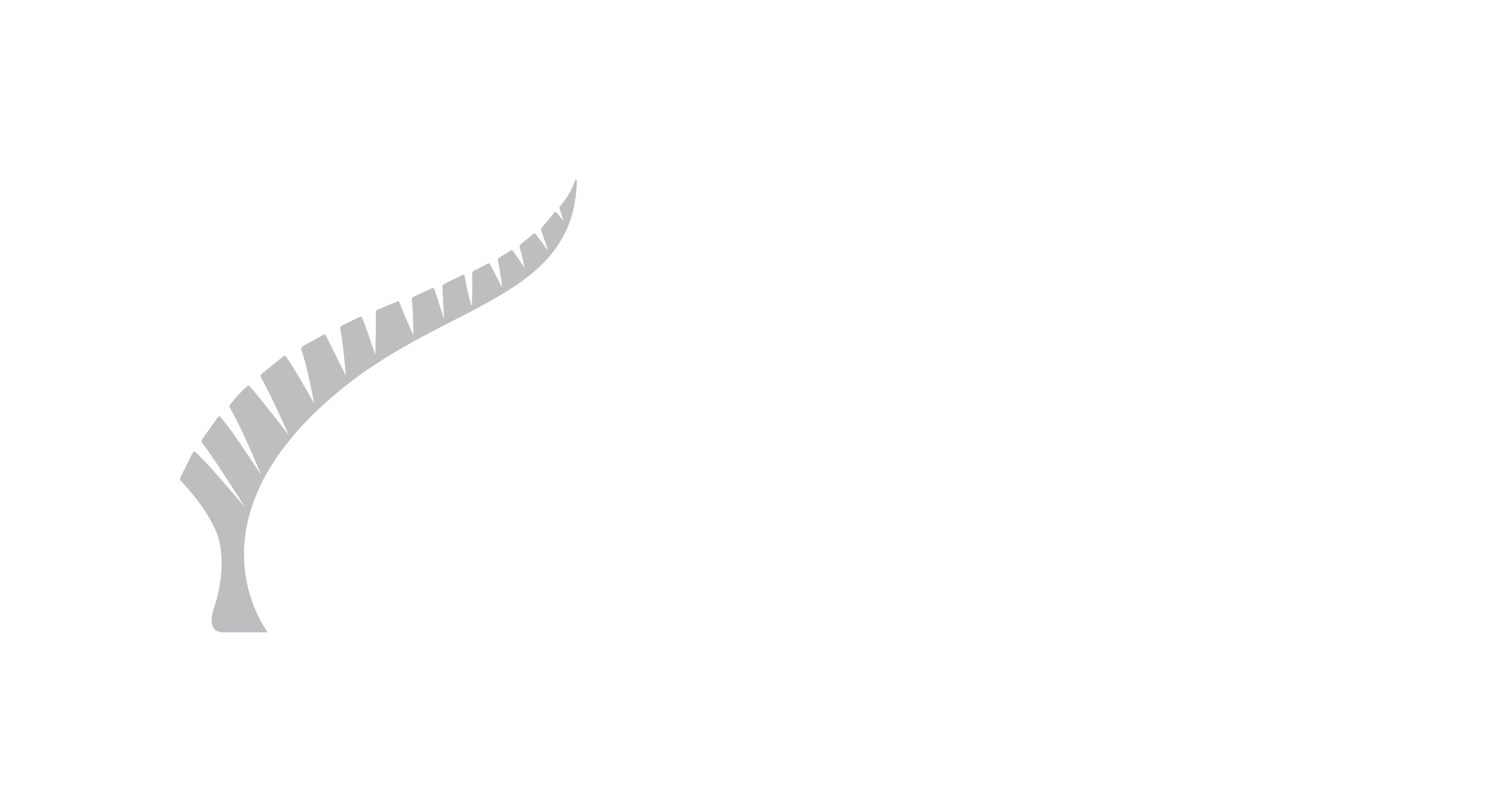 Post Haste Logo_RGB_Tertiary